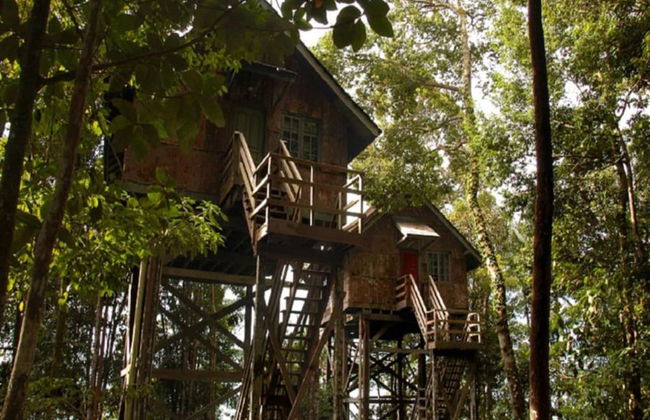 Permai Rainforest Resort - Foto 1