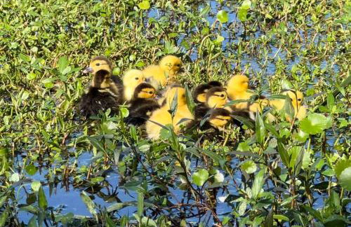 Lakeside retreat - 3 Bedroom, 2 Bathroom house by the lake - Foto 32