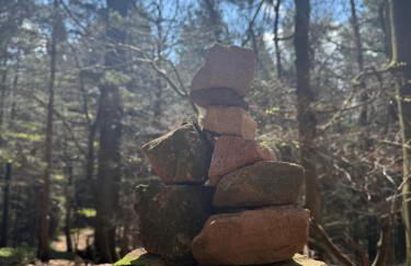 Ferienwohnung am Wald - Photo 28