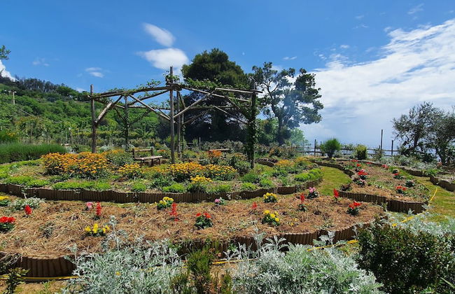 Fattoria Terranova - Foto 1