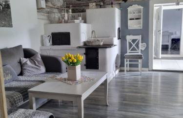 Koperkowy Raj Beskid Wyspowy Domek Małopolska Jacuzzi Playroom - Foto 3