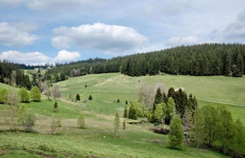 Rutscherhof Breitnau - Foto 36