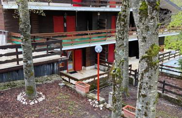 Livata - Campo dell’Osso...nel bosco a 1.700 metri - Photo 33