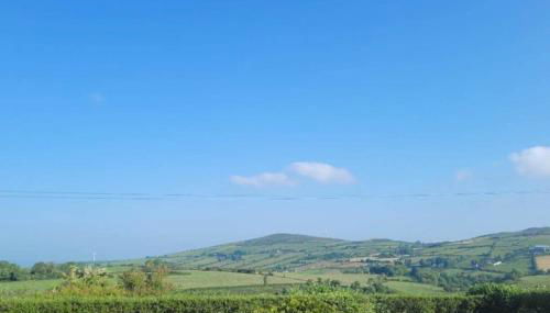 Ligford Cottage - Foto 4