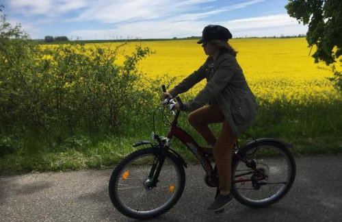 La Petite France - Foto 44