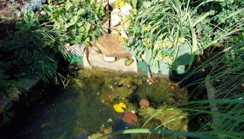 Ferienwohnung Heil - Königs Wusterhausen - Foto 5, Garden