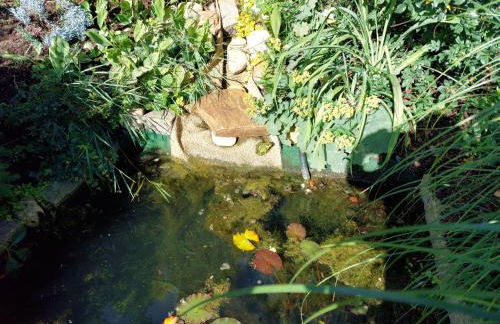 Ferienwohnung Heil - Königs Wusterhausen - Photo 5