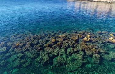 Asturie Home - Foto 26