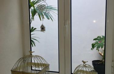 Água de Alto Main House - Photo 36