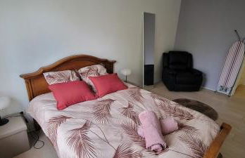 Maghy Appart à Strasbourg - Foto 2