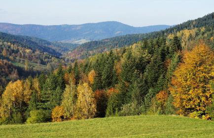 Dom w Uhryniu - Photo 10