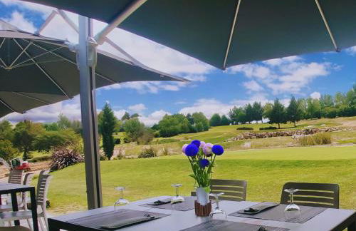 Terra Gasconha - Foto 45