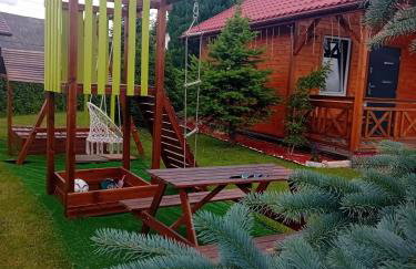 Temeszówka domek do wynajęcia - Foto 8