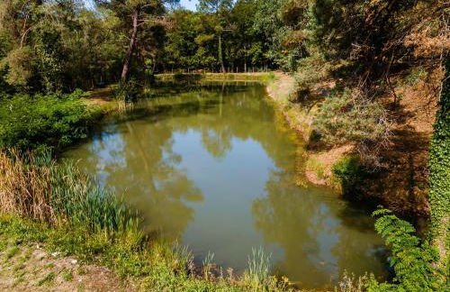 Gite 3 de l'Orée du Bois - Foto 24