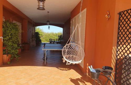 Herdade Monte Gordo - Foto 21