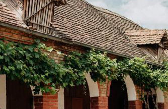 Kuća za odmor "Šokačka lady" - Foto 13