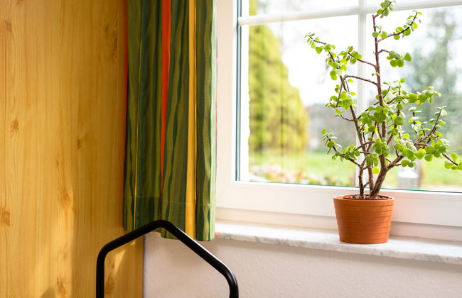 1 bedroom Apartment in Bad Neuenahr-Ahrweiler with garden - Photo 16