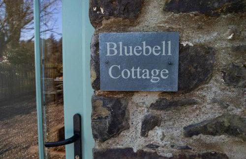 Bluebell Cottage Aberporth - Foto 25