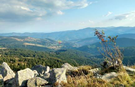 Appartement chaleureux à Soultzeren avec vue sur montagne - Foto 18