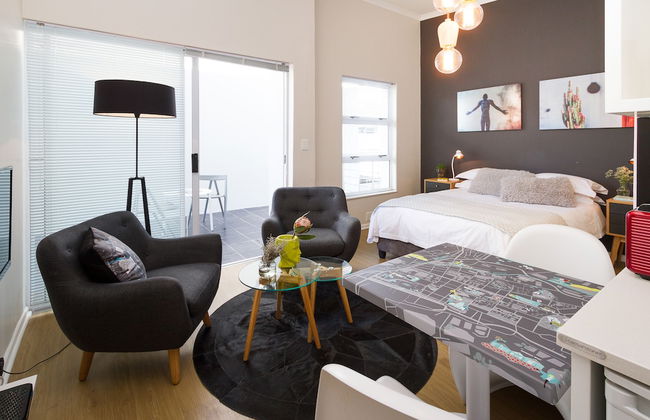 WINK Quiver Tree - Foto 2