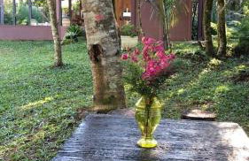 Chalé com Vista para Vinhedo e Natureza - Foto 35