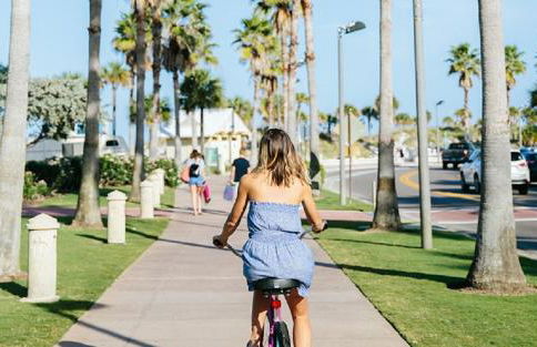 Tropical Oasis FL Pinellas Park - Foto 46