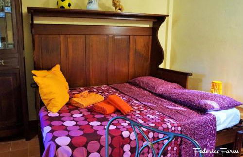 La Casa del Sarto - FedericoFarm - Foto 14