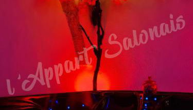 Lappart-salonais 70m2 avec jacuzzi privatif - Foto 4