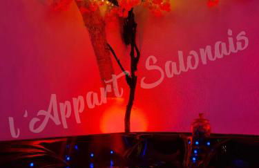 Lappart-salonais 70m2 avec jacuzzi privatif - Foto 4