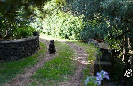 Quinta do Paraíso - Photo 20