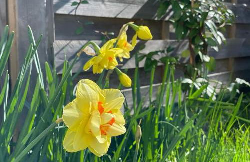 Studio Cosy Fleur de Lys - Foto 26