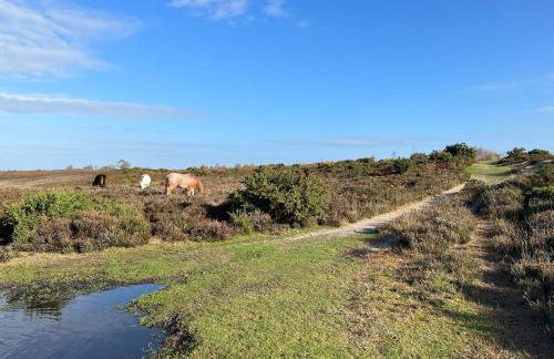 Ashbourne Cottage - Foto 51