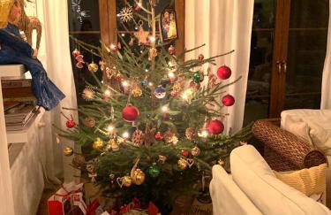 Willa Matylda Karpacz - Foto 28