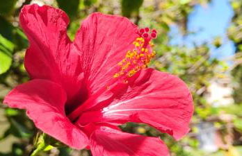 Apartamento La Marina by DENIA COSTA - Foto 54