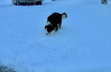Panorama Studio im Schwarzwald - Foto 32