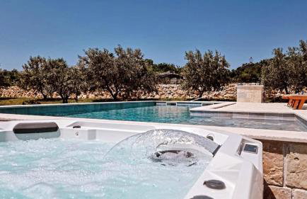 NEW 2023 Villa Tree of Life - Photo 3