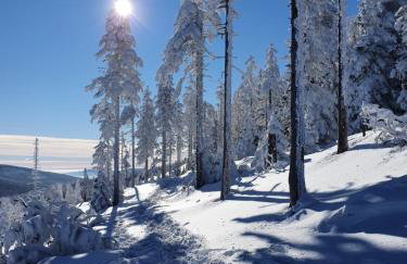 Czarna Góra Apartament 319 - Foto 1