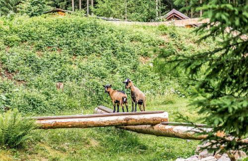 Luxurious Apartment in Jägersgrün with Saunas - Foto 75