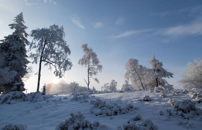 Apt - Neuastenbergerstrasse 4 Neuasten - Foto 19
