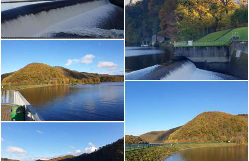 Rurseeparadies Kienert - Foto 18