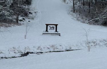 Winding Creek Cabin - Photo 74