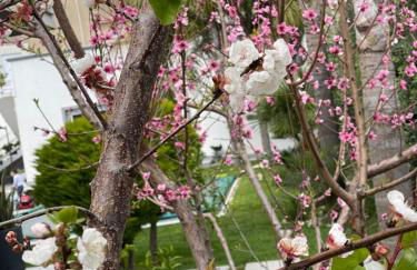 Angolo paradiso - Foto 22