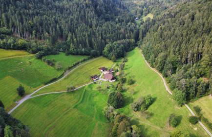 Haldenschwarzhof - Foto 3