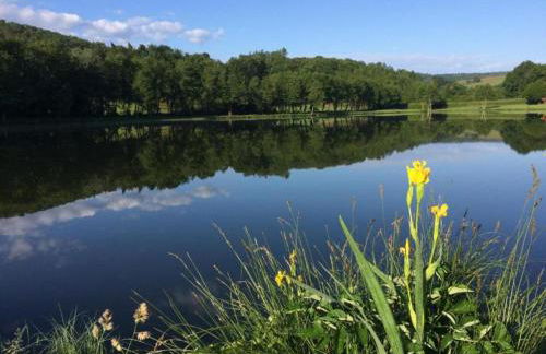 Holiday Home in Limousin near Forest - Foto 30