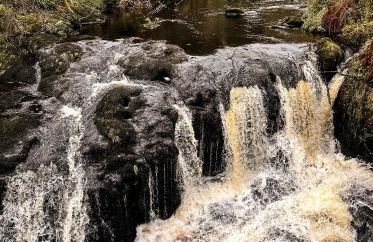 Glenariff Forest Getaway - Foto 14