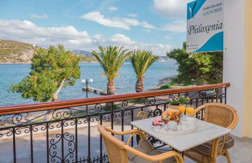 Philoxenia Ganossis - Foto 28