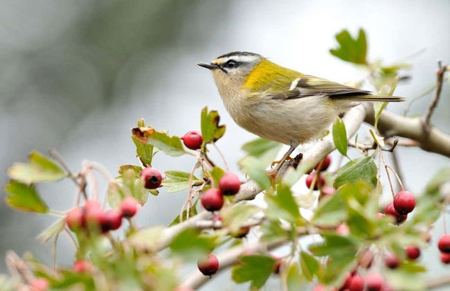 Senderismo por el Parque Natural do Alvão - Foto 1