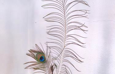 Early Year Deal - 150 qm Fachwerkhaus mit Heimkino & Privat-Sauna & Pool - Photo 37