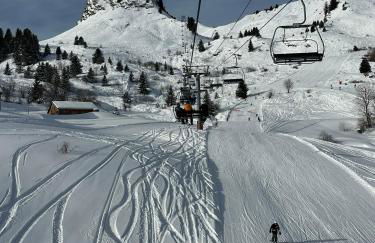Studio au cœur du Praz-de-Lys - Les Pralyssimes - Foto 21