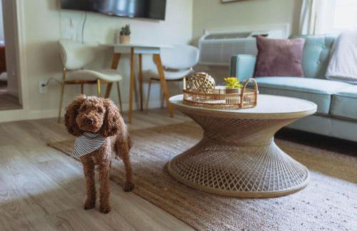 Sage Haven #2 - Foto 10